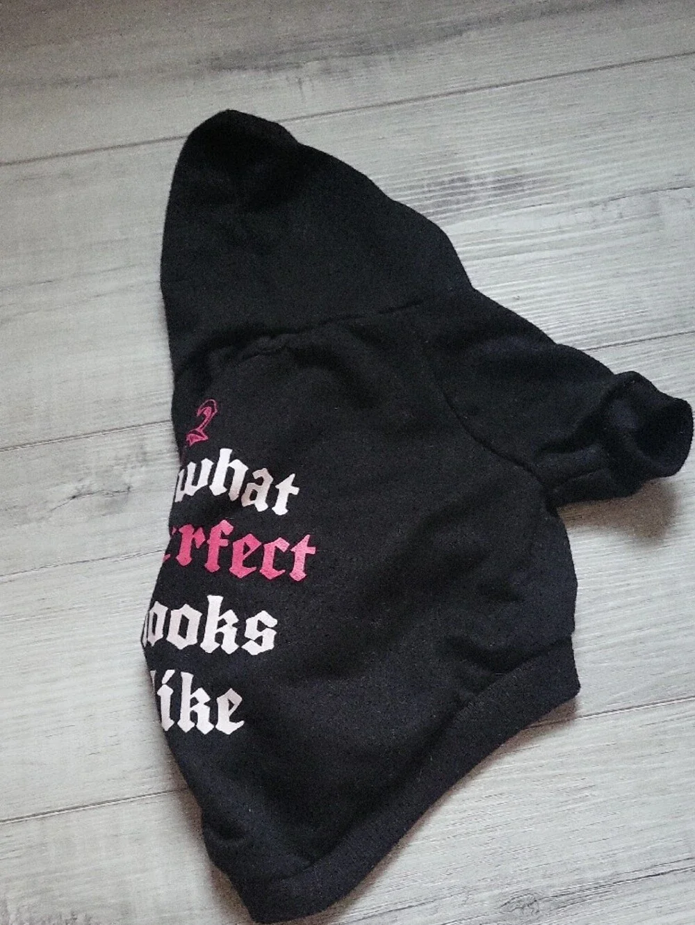 Velcro Dog Hoodie